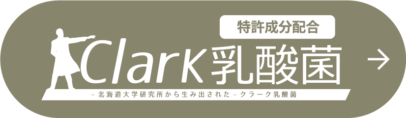クラーク乳酸菌