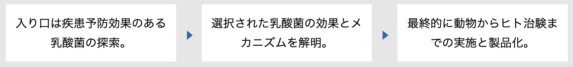 研究開発の流れ