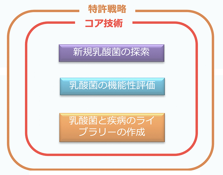 乳酸菌の研究開発事業