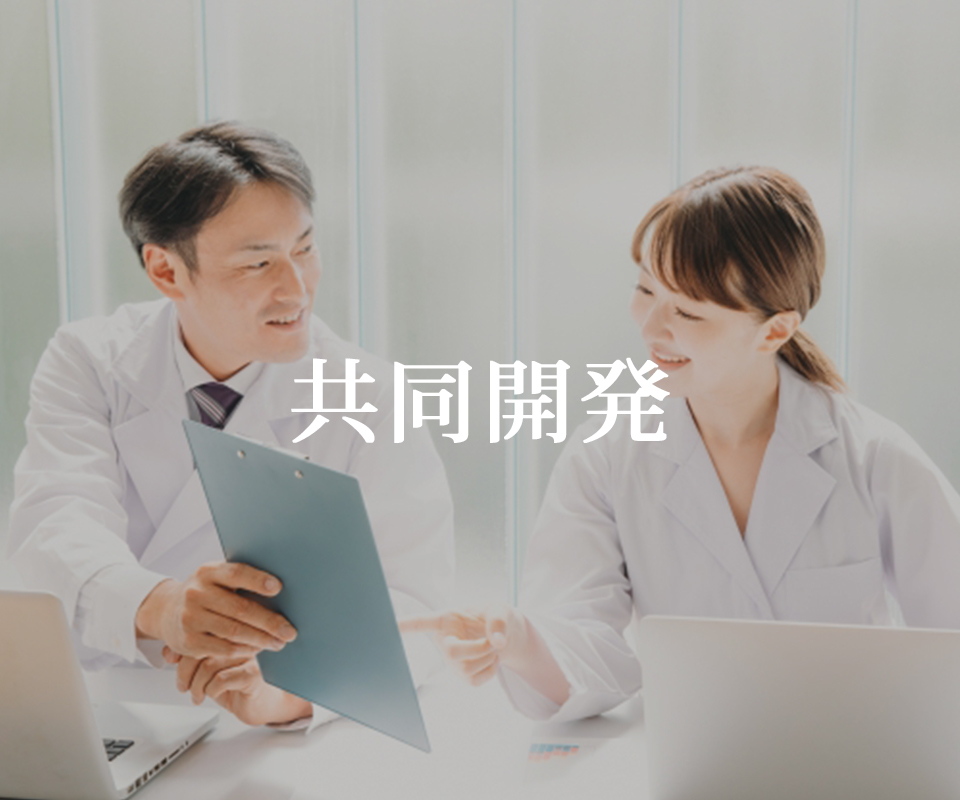 共同開発