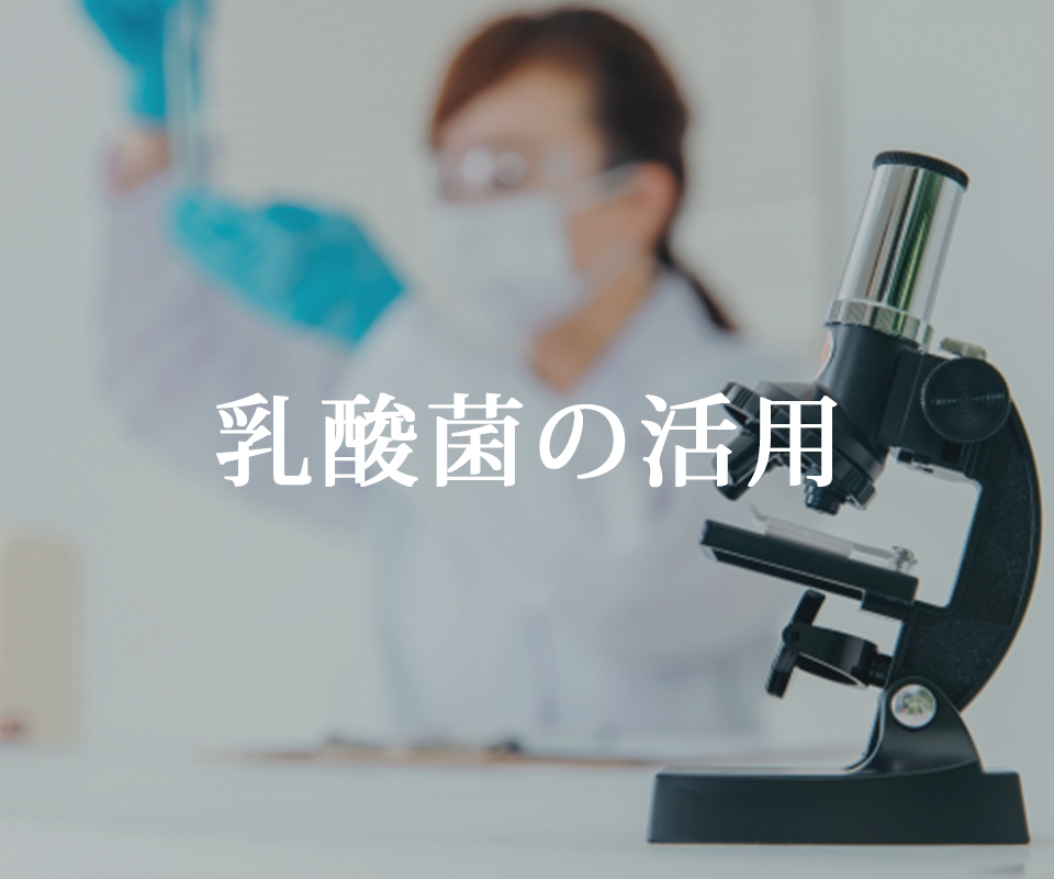 乳酸菌の活用